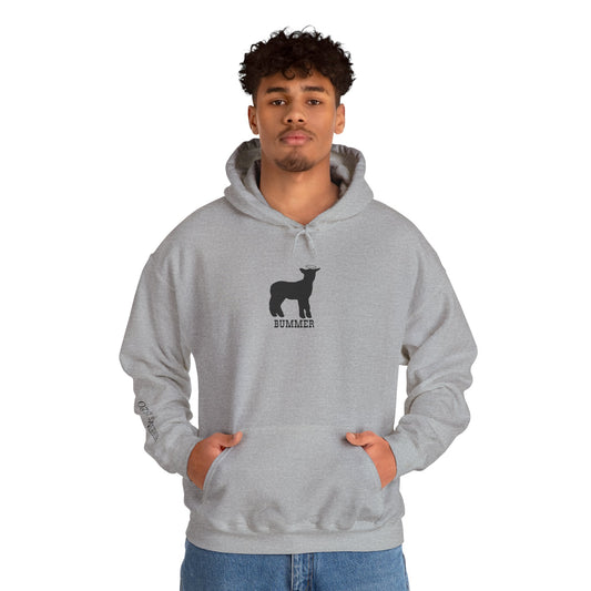 Bummer Hooded Sweatshirt