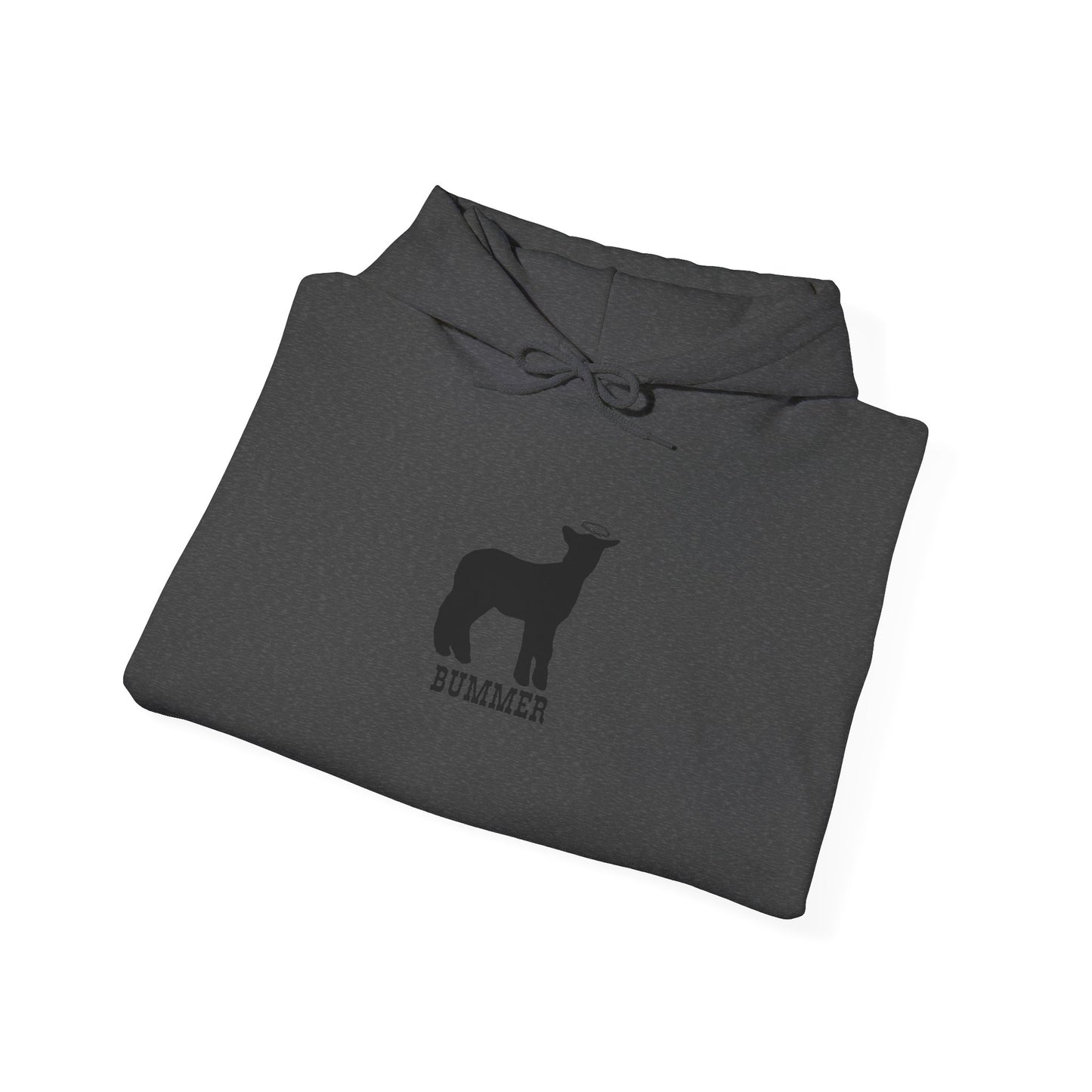 Bummer Hooded Sweatshirt