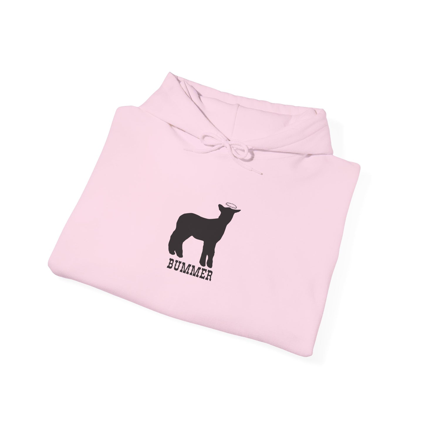 Bummer Hooded Sweatshirt