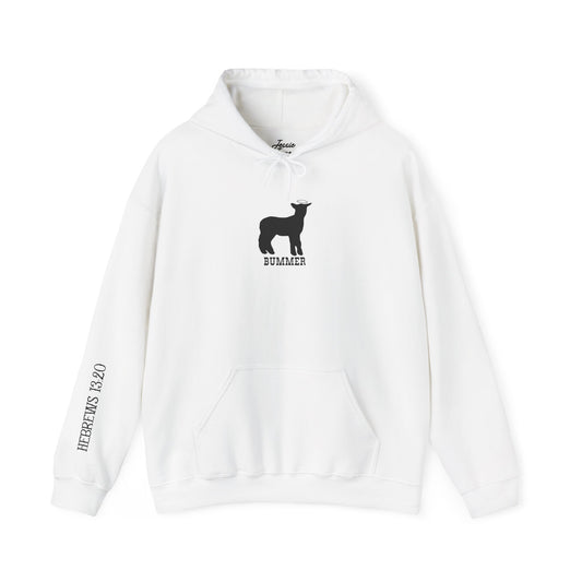 Bummer Hooded Sweatshirt