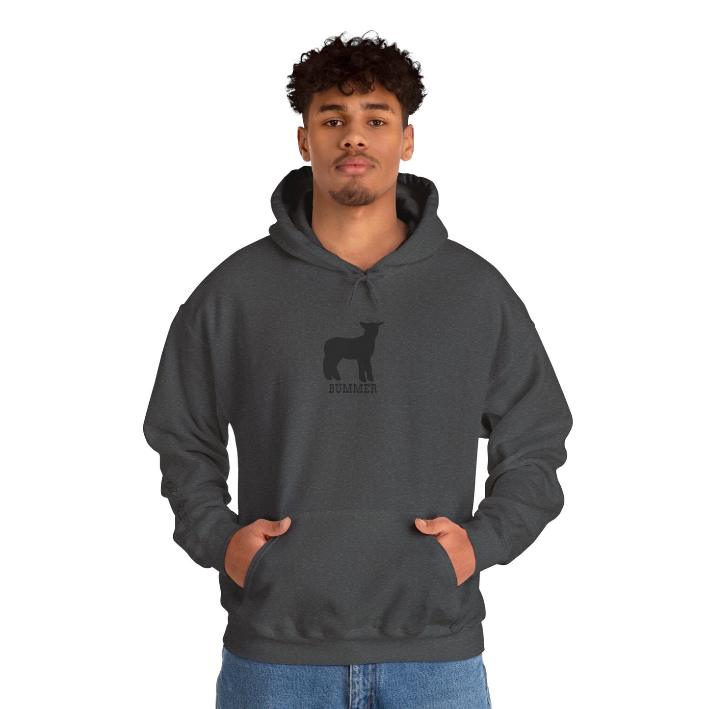 Bummer Hooded Sweatshirt