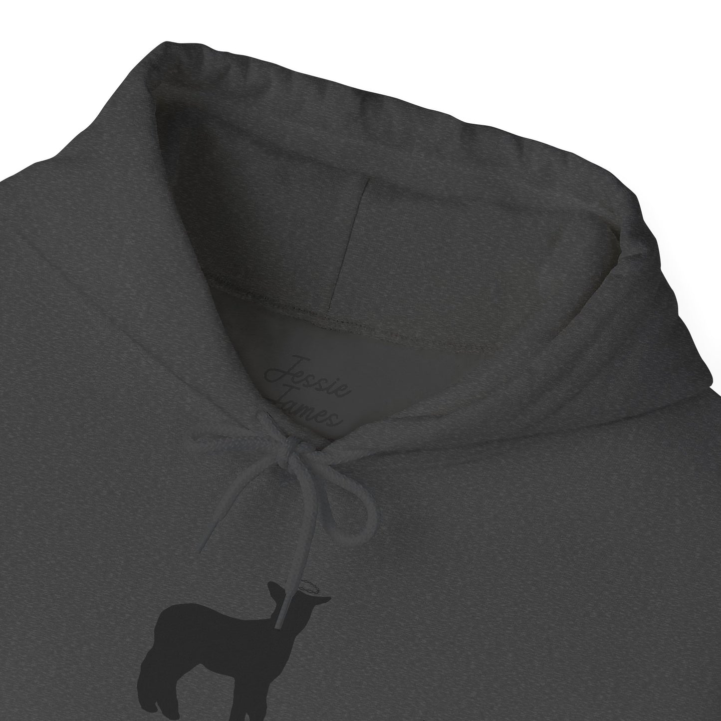 Bummer Hooded Sweatshirt