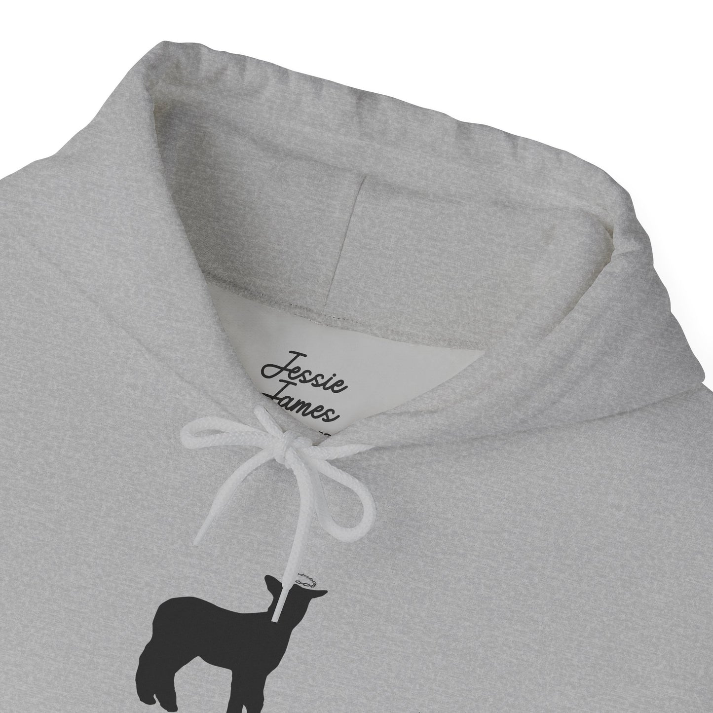 Bummer Hooded Sweatshirt