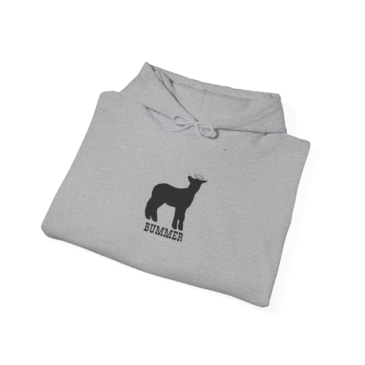 Bummer Hooded Sweatshirt