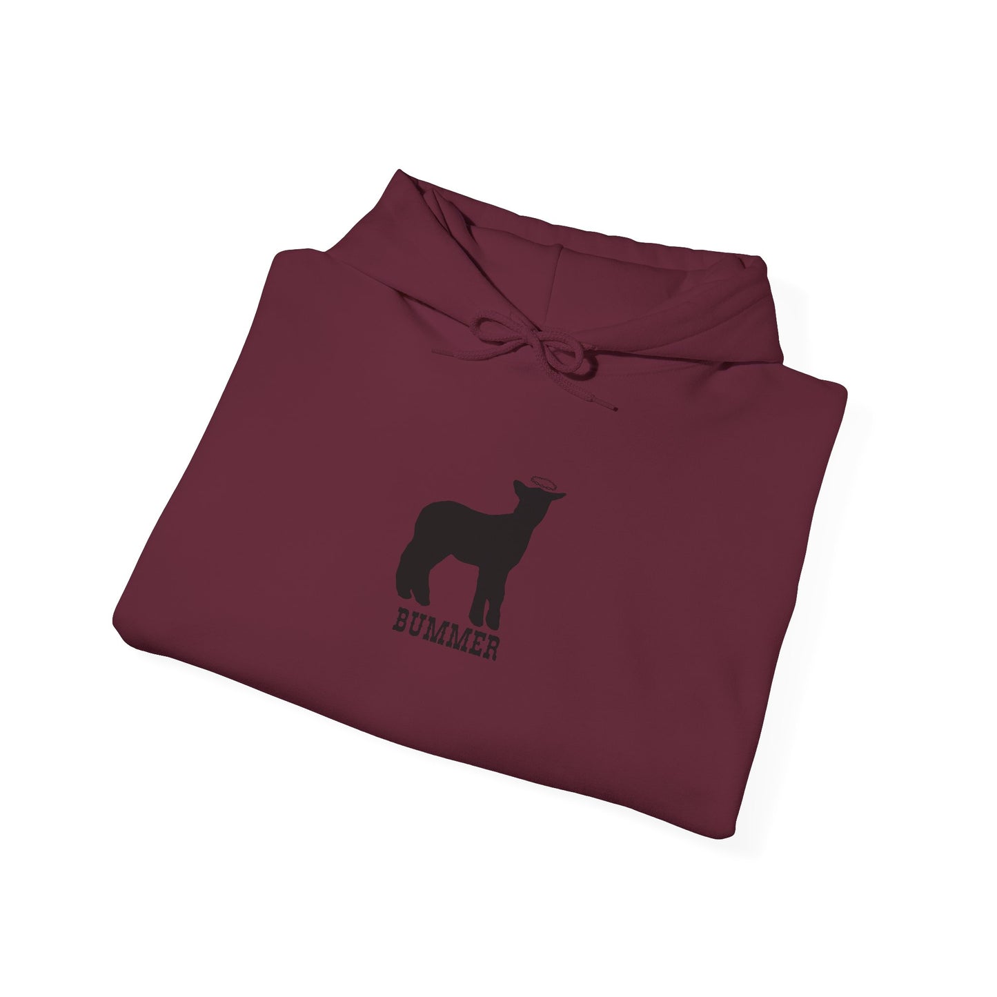 Bummer Hooded Sweatshirt