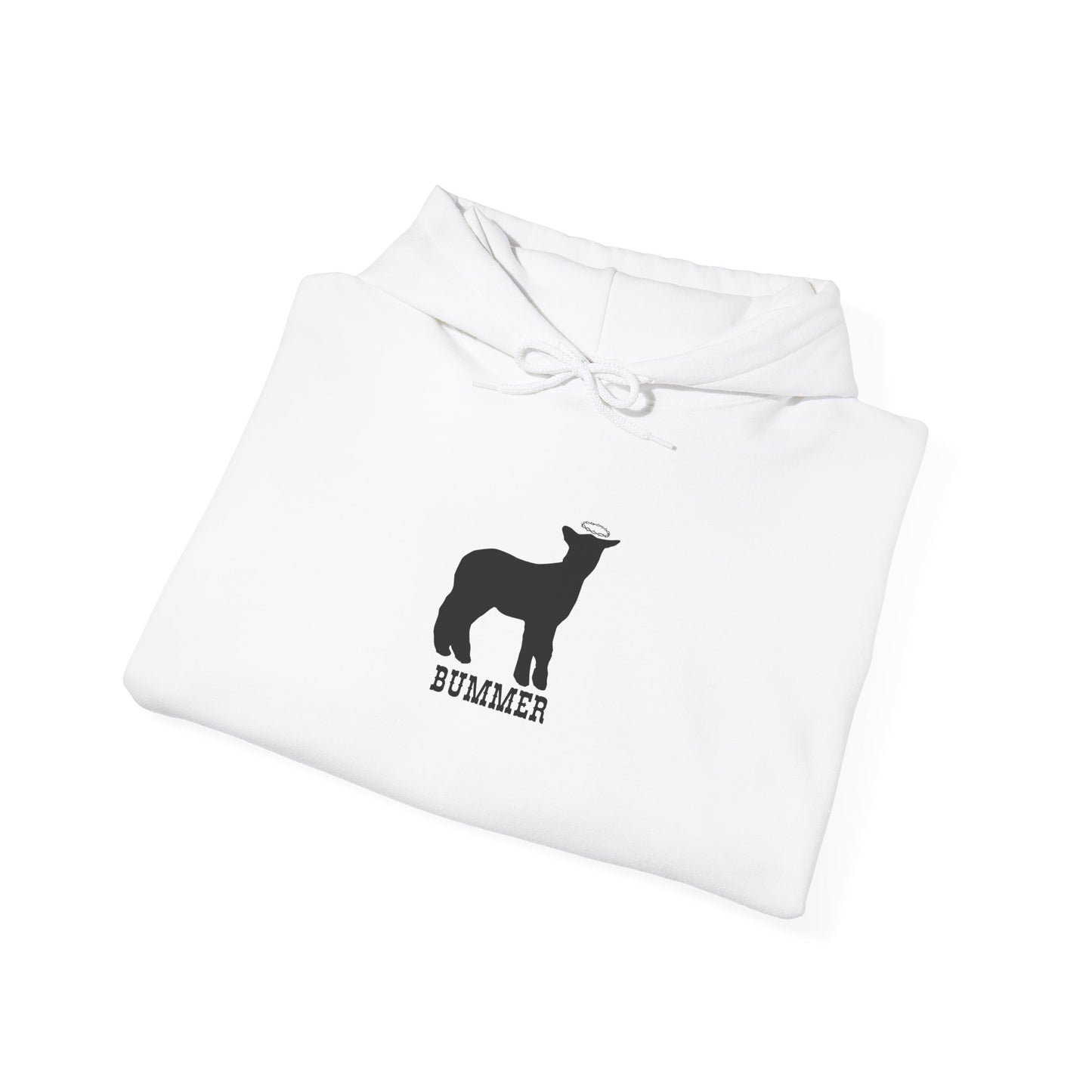 Bummer Hooded Sweatshirt